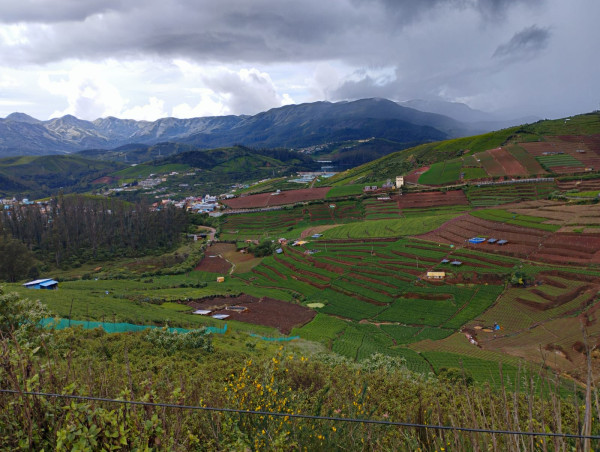 Agricultural Land Near Ooty, TN